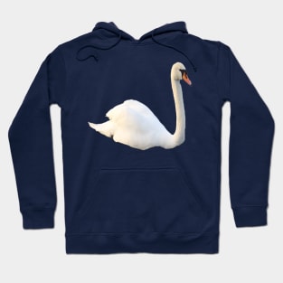 Swan on a river Hoodie